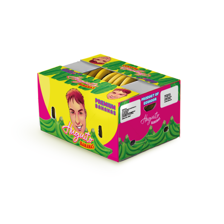 CajaHuguitoWeb